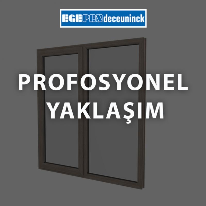 Profesyonel Yakla��m